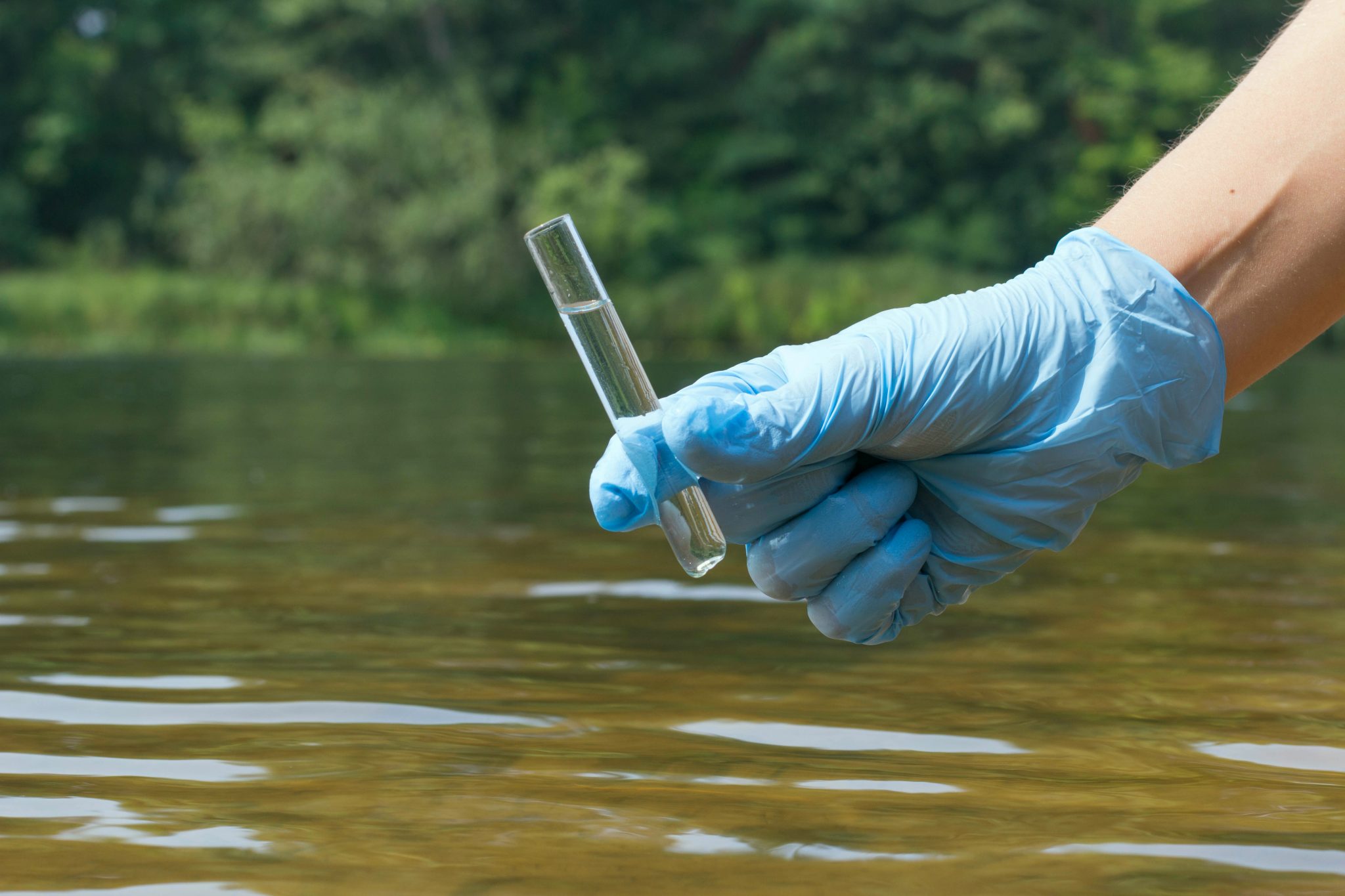 Harmful Microorganisms Can Ruin Your Water Quality