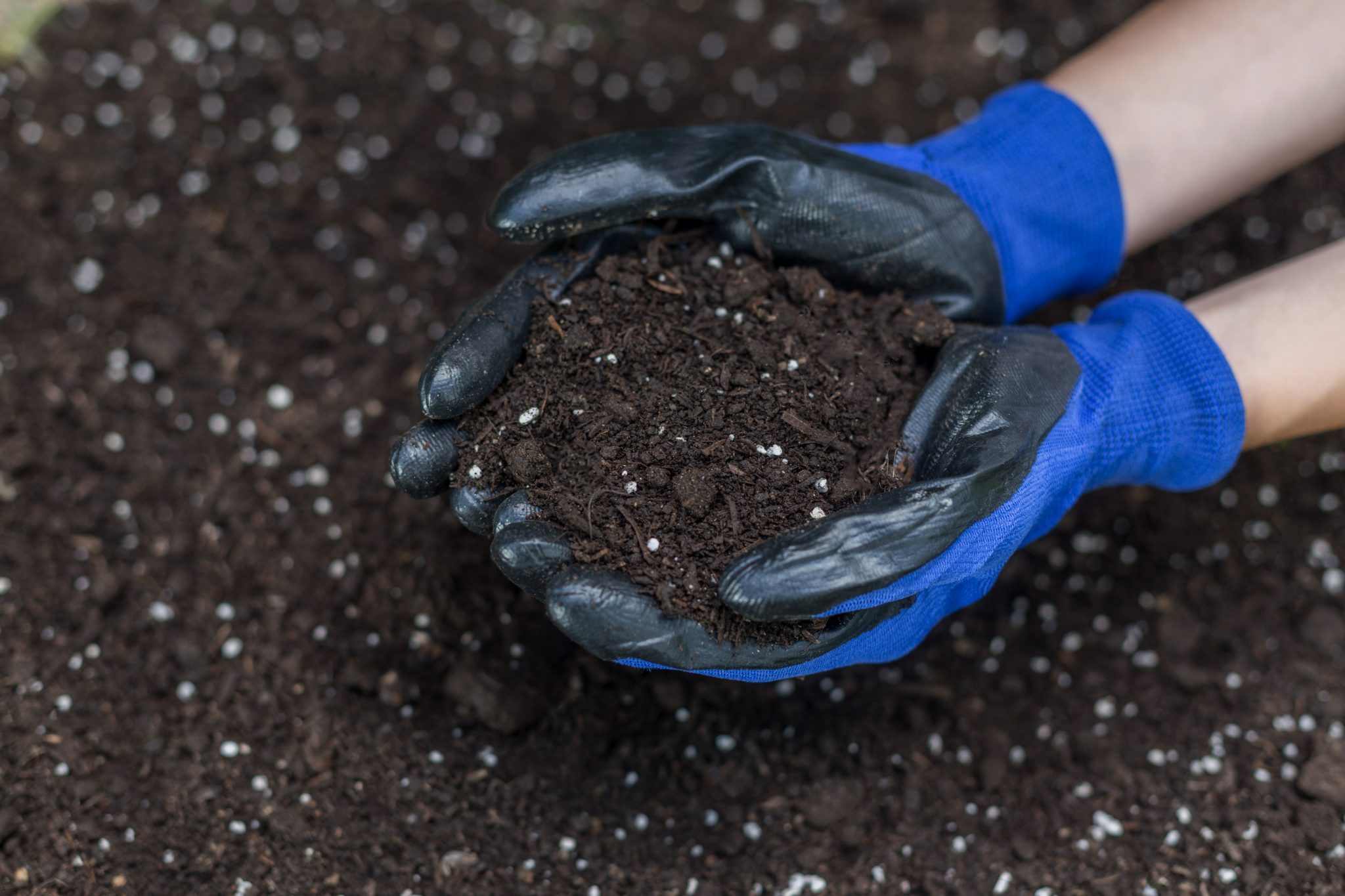 The Growers Guide To Soil Testing Near Me